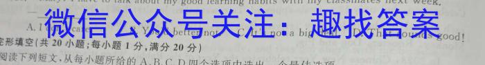 江西省上饶市广丰区2024届九年级上学期1月期末考试英语试卷答案