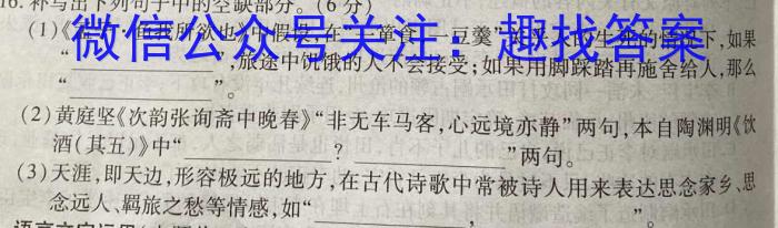 天一大联考 湖南省2024届高三2月联考语文