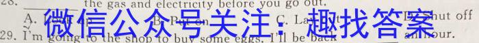 绥德县2024年九年级第三次模拟考试英语