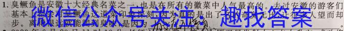 江西省吉安市2023-2024学年第二学期第一阶段八年级练习卷物理试卷答案