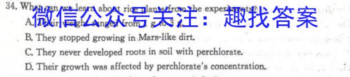 四川省绵阳市2023级第一学期期末教学质量测试英语