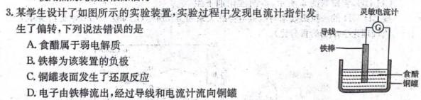 12023-2024学年湖南省高二12月联考(24-230B)化学试卷答案