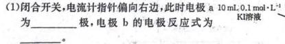 12024普通高等学校招生全国统一考试·模拟信息卷(一)1化学试卷答案