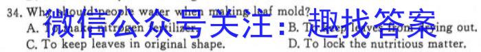 2024ˮо(JJ.AB)()Ӣx