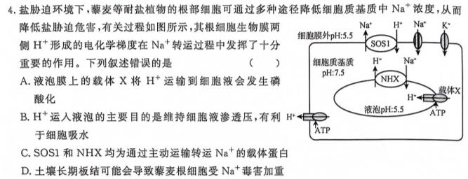 安徽省2023~2024学年度八年级综合模拟卷(三)3MNZX A AH生物