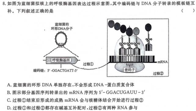 名校之约-2024河南省中招考试模拟试卷(一)1生物学