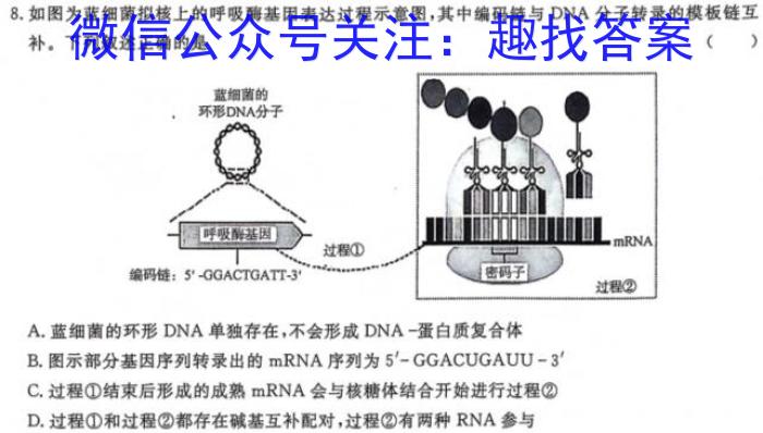 百师联盟·2023-2024学年高一12月大联考生物学试题答案