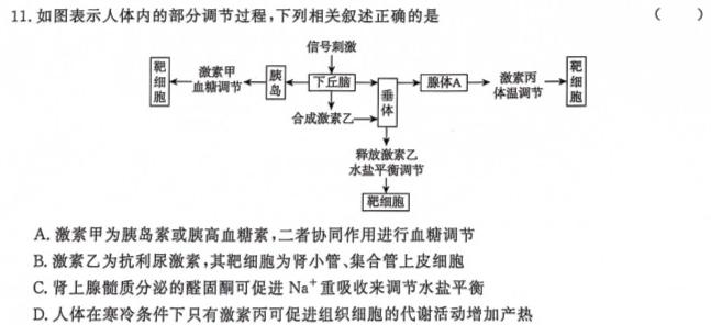 2023-2024学年辽宁省高二考试5月联考(24-514B)生物学部分