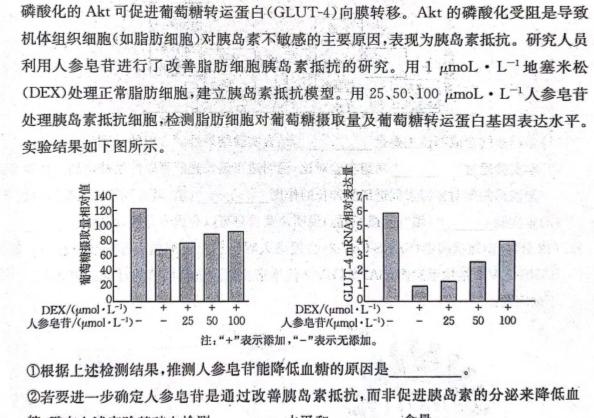 2024年山东省高一阶段性诊断测试(24-491A)生物学部分