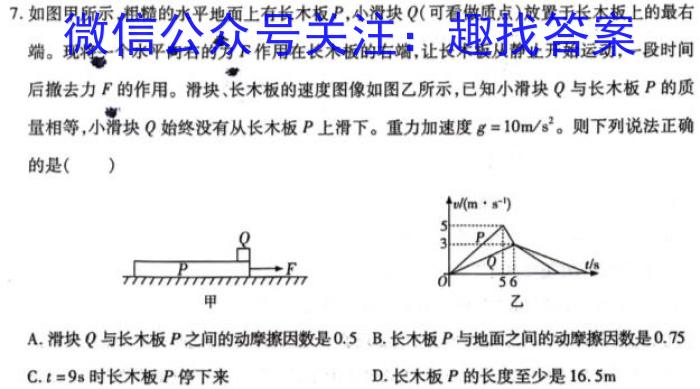 炎德英才大联考 湖南师大附中2025届高三月考试卷(2)物理试卷答案