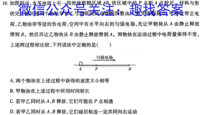 2024-2025学年陕西省高二考试9月联考(无角标)物理试题答案