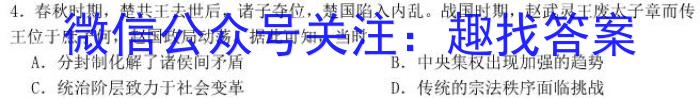 2024年5月湖湘教育三新探索协作体高二期中联考历史试卷
