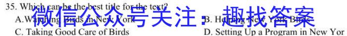 华大新高考联盟2024届高三5月高考押题卷（新高考卷）英语试卷答案