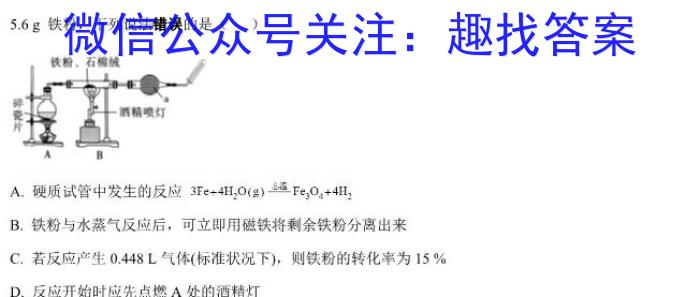 f国考1号10·第10套·2024届高三阶段性考试(七)化学