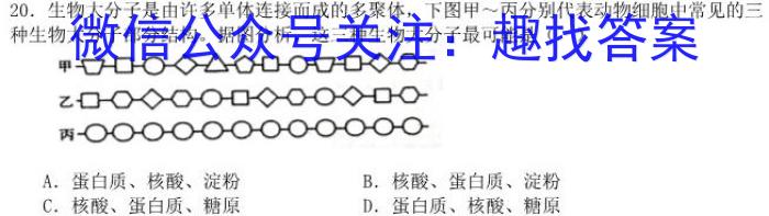 安徽省亳州市2023-2024学年第一学期期末教学监测九年级生物学试题答案