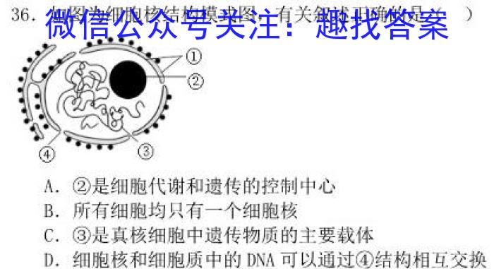 [濮阳二模]濮阳市高中2023-2024学年高三第二次模拟考试生物学试题答案