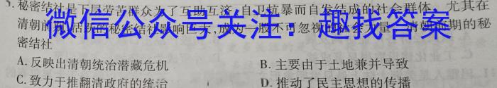 河北省邯郸市2024年初三毕业班4月模拟检测历史试卷答案