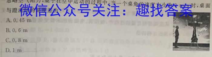 四川省九市联考2023-2024学年度高二上期期末教学质量检测物理试卷答案