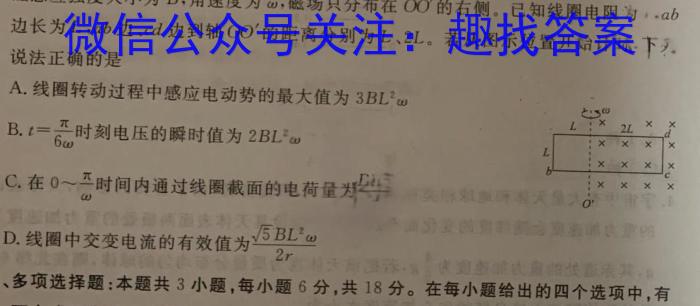 安徽省霍邱县正华外语学校2023~2024学年度高二年级期末考试物理试卷答案