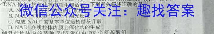 2024年普通高等学校招生全国统一考试模拟检测(三)3生物学试题答案