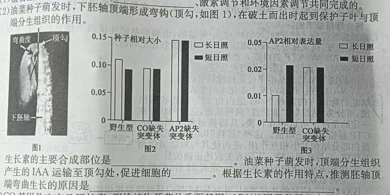 江西省新八校2024届高三第二次联考生物