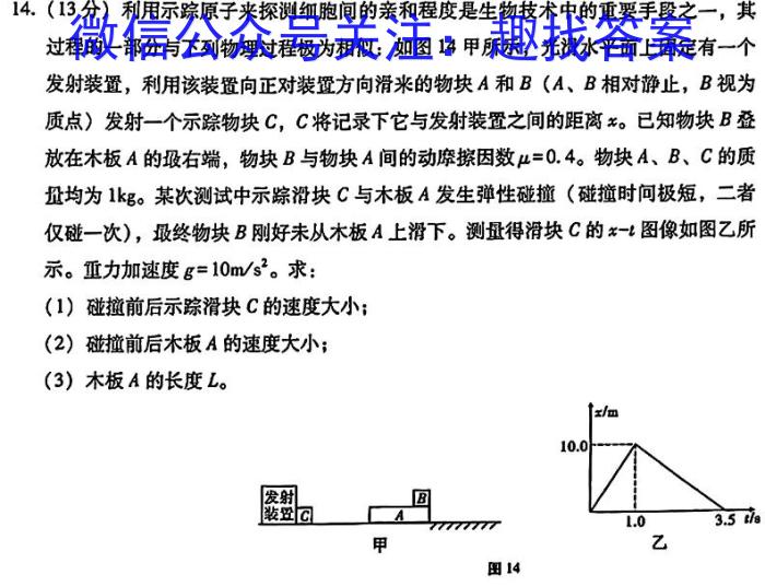 2024届高三TOP二十名校冲刺二(4296C)物理`