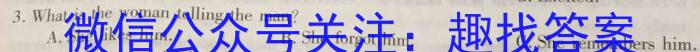 山西省2024届九年级下学期开学考试英语