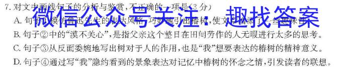 河北省保定市莲池区2023-2024学年第一学期九年级期末质量监测/语文