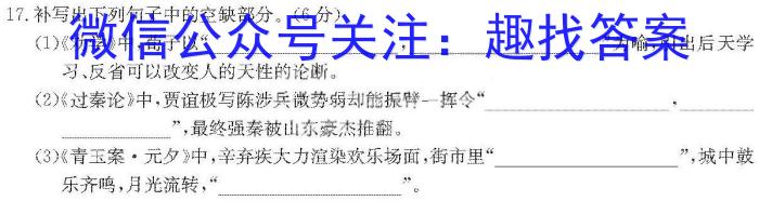 江西省2024届九年级阶段性检测题（12.26）语文