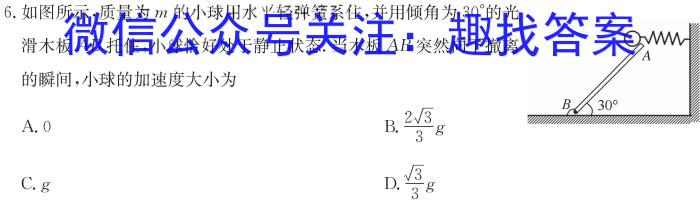 安徽省阜阳市2023-2024学年度高三教学质量统测试卷(24-360C)物理`