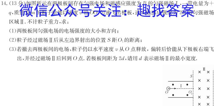 2024届衡水金卷先享题调研卷 新高考(一)试题物理`