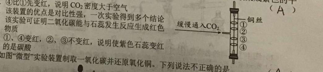 1河南省2023~2024学年度七年级上学期阶段评估(二) 3L R-HEN化学试卷答案