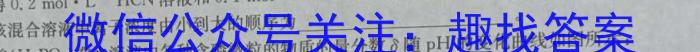 3广西省2024届普通高中毕业班12月模拟考试化学试题