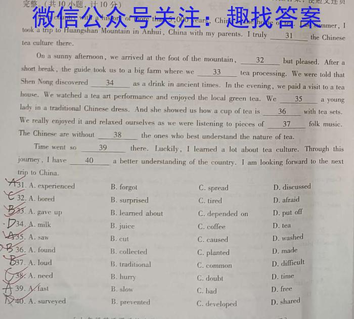 陕西省2024年九年级仿真模拟示范卷 SX(五)5英语