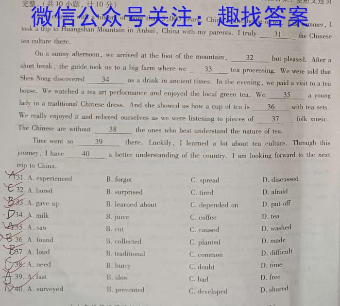 2024年普通高等学校全国统一模拟招生考试 金科·新未来12月联考英语