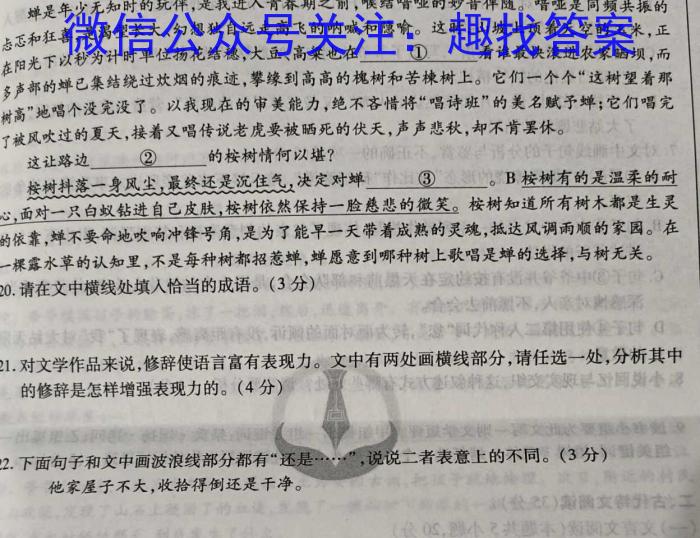 天一大联考2023-2024学年高三冬季教学质量检测语文