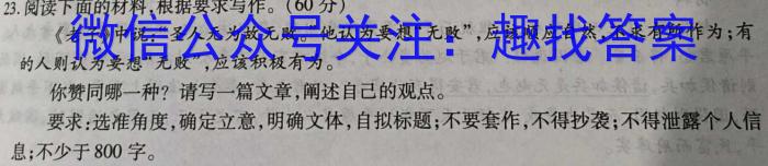 安徽省2024年的九年级下学期期中考试语文