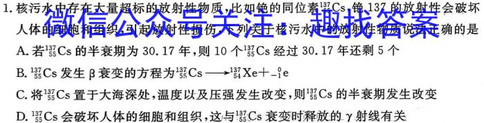 陕西省2024届高三年级4月份大联考物理`