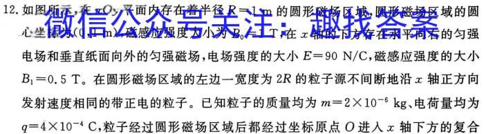 安徽省2024九年级试题卷(五)物理试卷答案