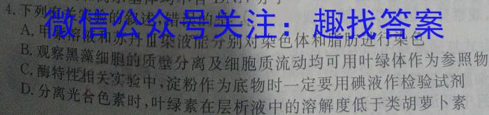 2024普通高等学校招生全国统一考试·模拟信息卷(一)1生物学试题答案