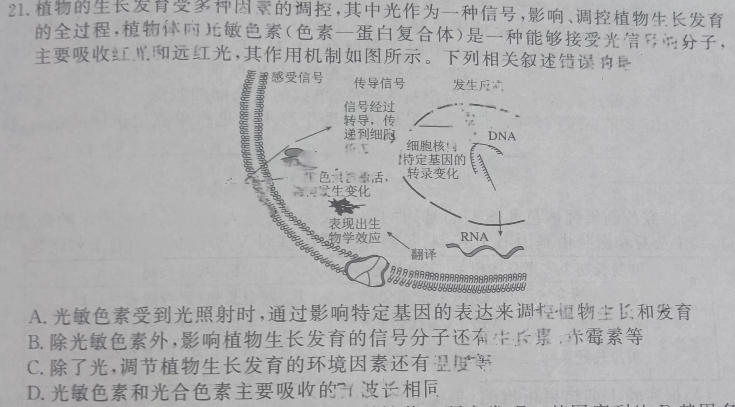 江西省2023-2024高三[新余二模]第二次调研考试生物