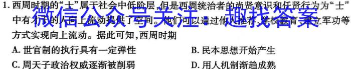 2024届辽宁市高二3月联考(24-359B)历史试卷答案