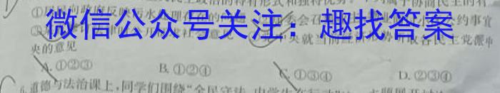 安徽省太和县2024年初中学业水平考试模拟测试卷（一）政治试卷d答案