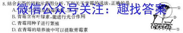 2024年河北省初中毕业生升学文化课模拟考试(夺冠型)生物学试题答案