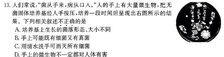 2024年河北省初中毕业生升学文化课考试定心卷生物