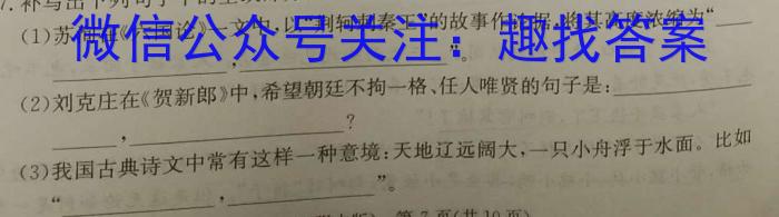 百师联盟·河南省2023-2024学年高一6月联考（期末联考）语文