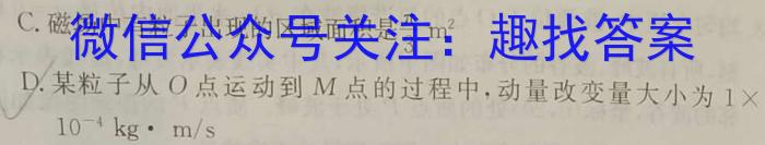 安徽师范大学附属中学2023-2024学年高二下学期第一次学情检测物理`