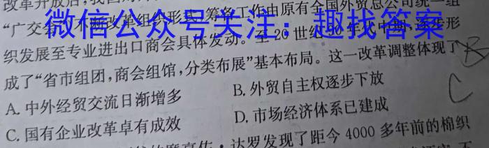 河北省邯郸市永年区2023-2024学年八年级第一学期期中质量检测历史试卷答案