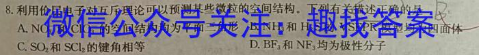 [潍坊三模]2024届潍坊市高考模拟考试(2024.5.24)数学