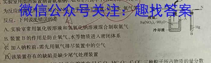 2024年普通高等学校招生全国统一考试 名校联盟·模拟信息卷(T8联盟)(八)化学